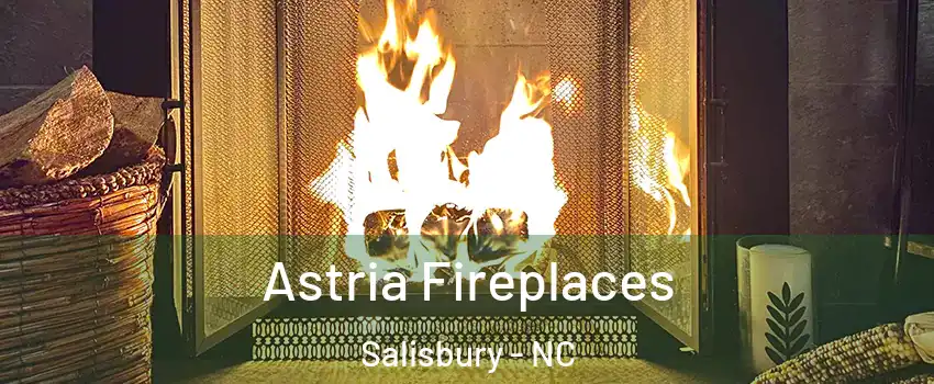 Astria Fireplaces Salisbury - NC