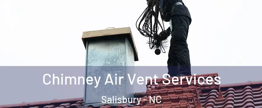  Chimney Air Vent Services Salisbury - NC