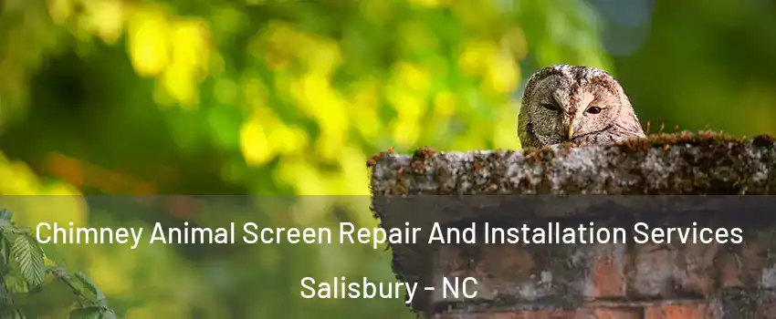  Chimney Animal Screen Repair And Installation Services Salisbury - NC