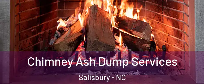  Chimney Ash Dump Services Salisbury - NC
