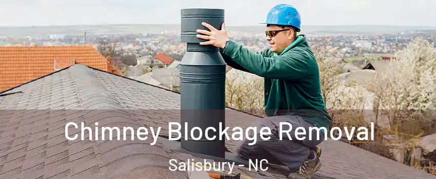 Chimney Blockage Removal Salisbury - NC