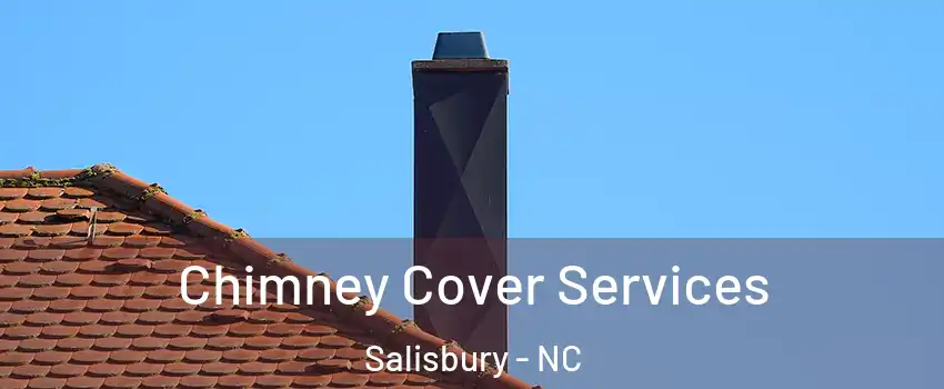  Chimney Cover Services Salisbury - NC