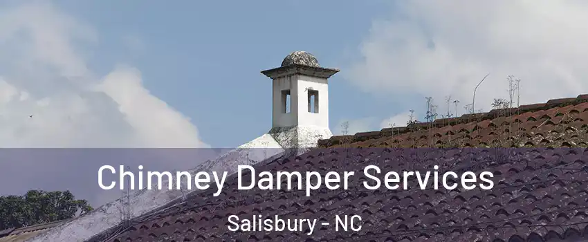  Chimney Damper Services Salisbury - NC