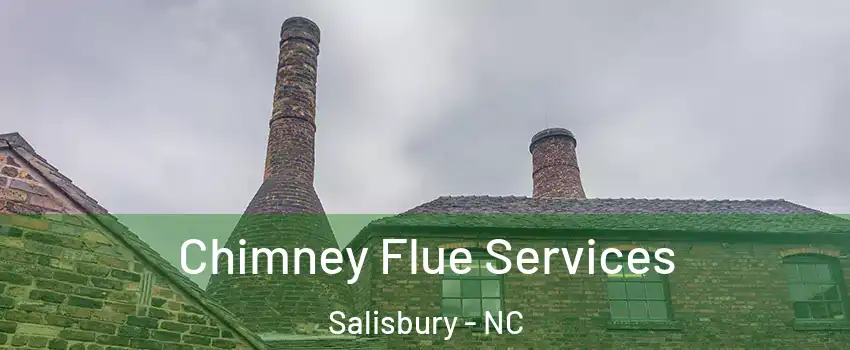  Chimney Flue Services Salisbury - NC