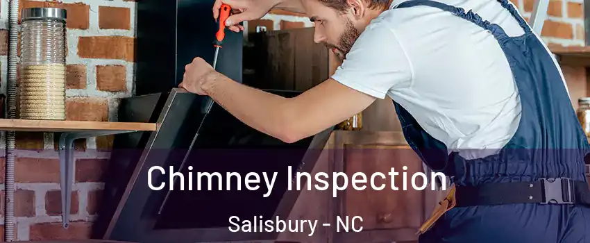  Chimney Inspection Salisbury - NC