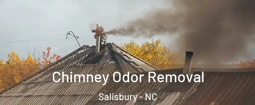  Chimney Odor Removal Salisbury - NC