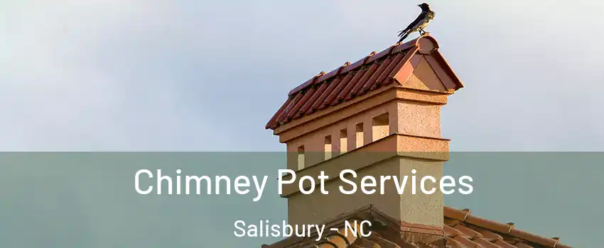  Chimney Pot Services Salisbury - NC