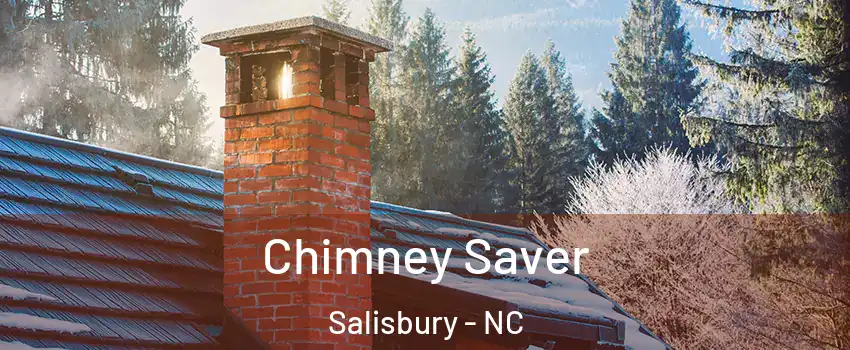  Chimney Saver Salisbury - NC