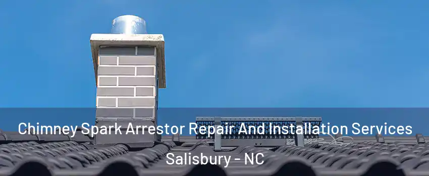  Chimney Spark Arrestor Repair And Installation Services Salisbury - NC