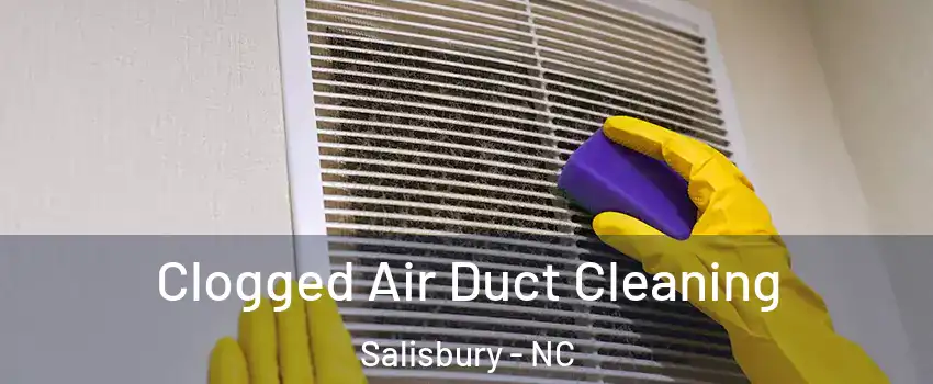  Clogged Air Duct Cleaning Salisbury - NC