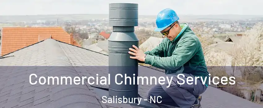  Commercial Chimney Services Salisbury - NC