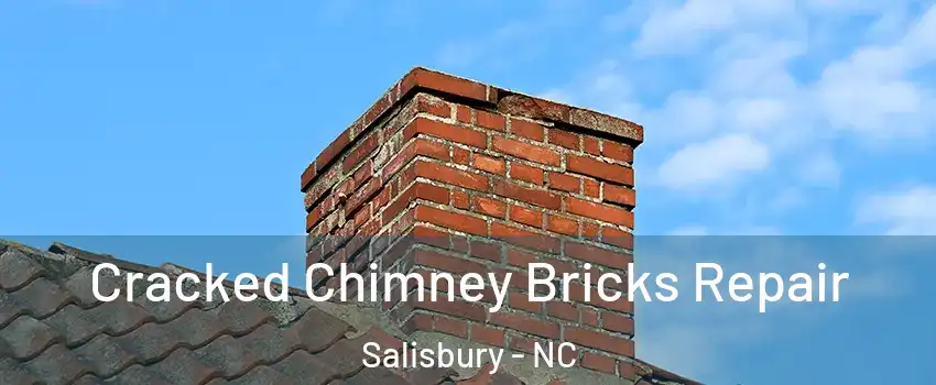  Cracked Chimney Bricks Repair Salisbury - NC