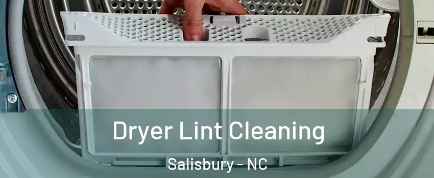  Dryer Lint Cleaning Salisbury - NC