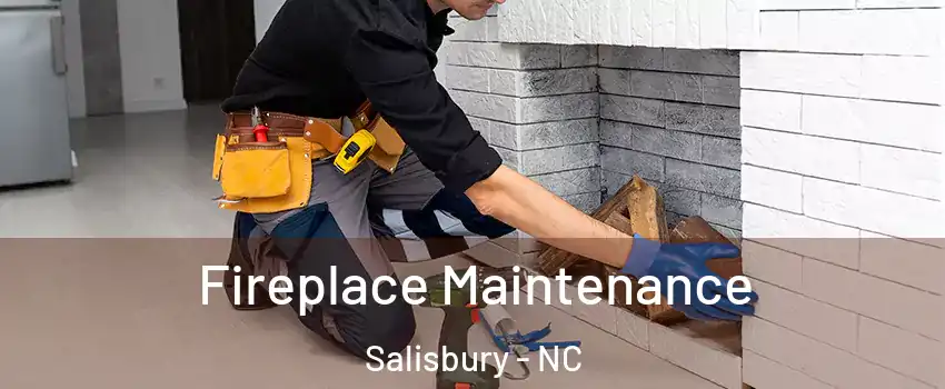  Fireplace Maintenance Salisbury - NC