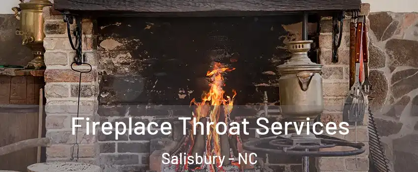  Fireplace Throat Services Salisbury - NC