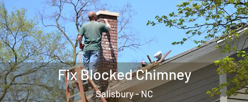  Fix Blocked Chimney Salisbury - NC
