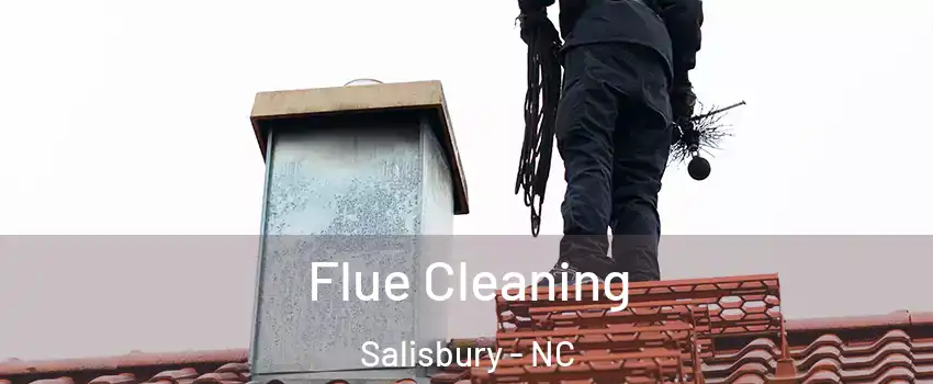  Flue Cleaning Salisbury - NC