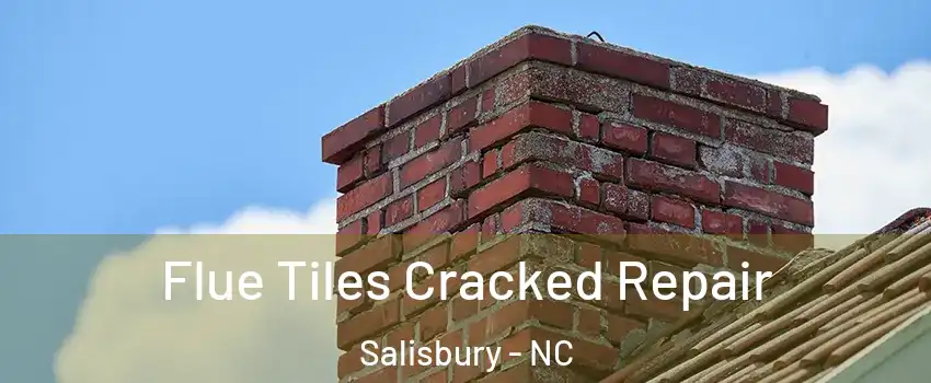  Flue Tiles Cracked Repair Salisbury - NC