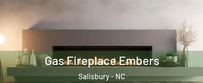  Gas Fireplace Embers Salisbury - NC