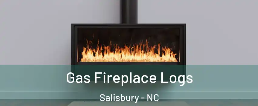  Gas Fireplace Logs Salisbury - NC