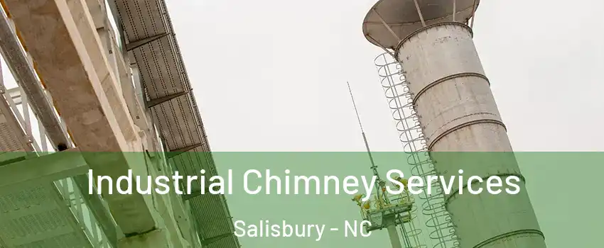  Industrial Chimney Services Salisbury - NC