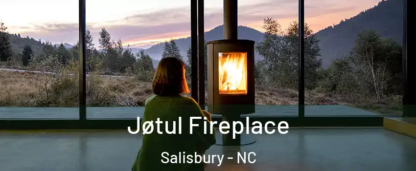  Jøtul Fireplace Salisbury - NC
