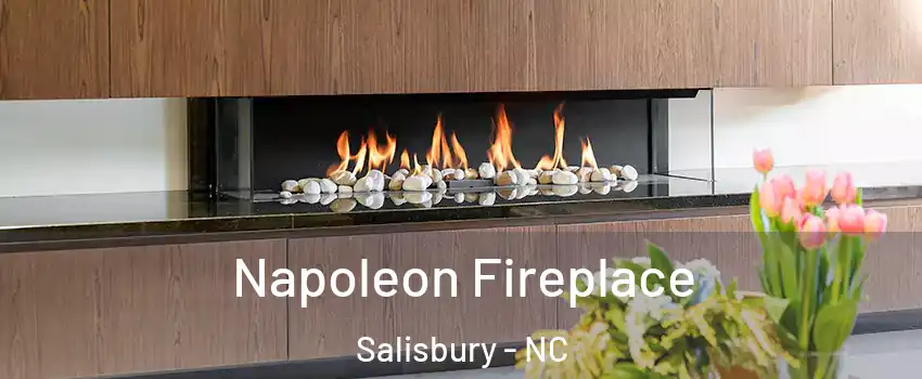 Napoleon Fireplace Salisbury - NC