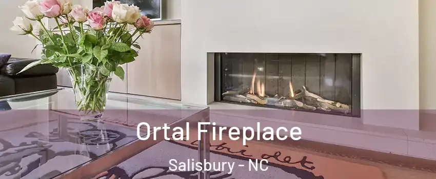 Ortal Fireplace Salisbury - NC