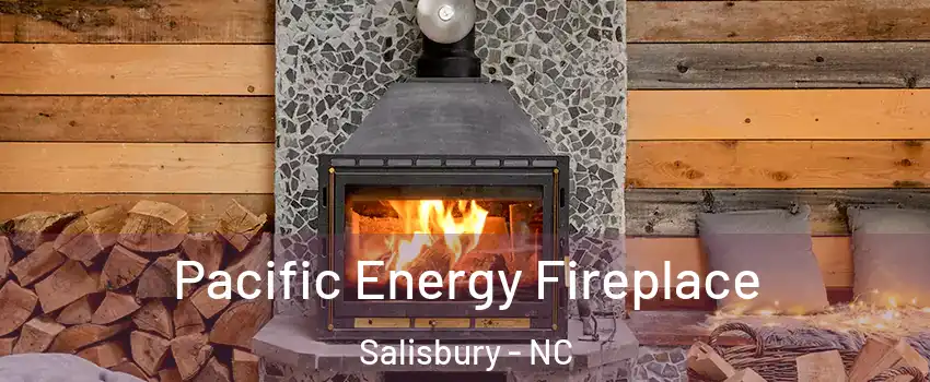  Pacific Energy Fireplace Salisbury - NC